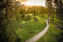 Ergon SMC Women's Sport Gel Saddle -Deutschland Fahrradzubehör Verkaufs-Shop Ergon SMC Womens Sport Gel Saddle 06