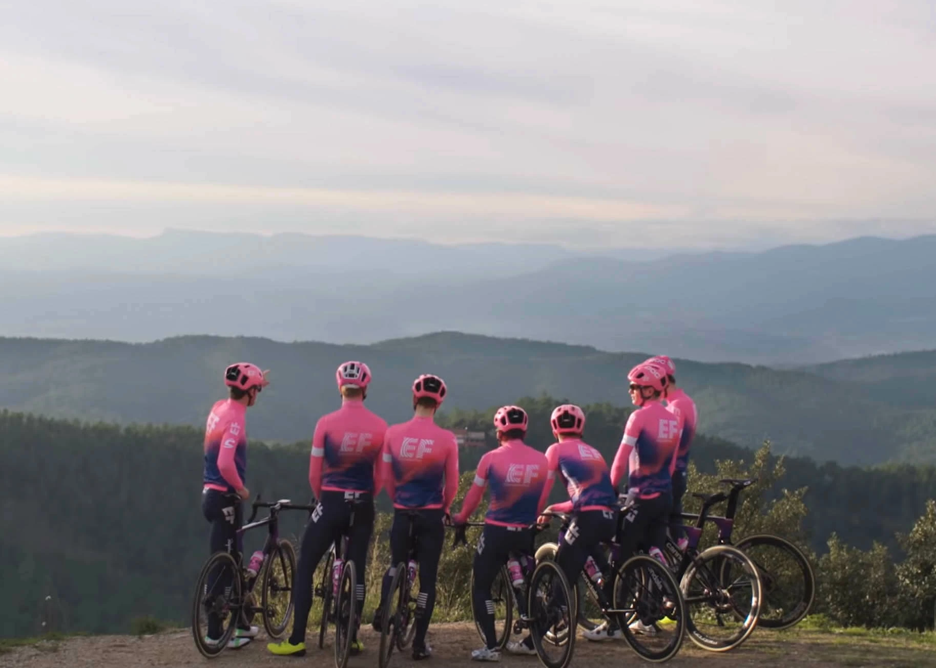 Prologo Dimension Tirox Team Saddle 3 Prologo Dimension Tirox Team Saddle – Bild 3