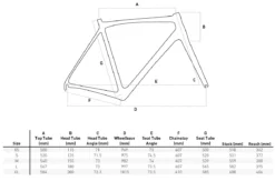Orro Gold EVO 105 Hydro R800 Road Bike (2023) -Deutschland Fahrradzubehör Verkaufs-Shop Pyro Evo Size Chart
